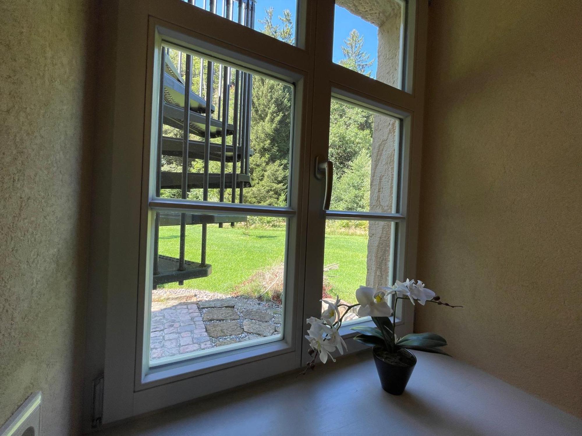 Rosenthal-Bielatal Ferienwohnung Parkblick Im Badehaus מראה חיצוני תמונה